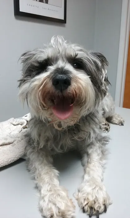 Layton Veterinary Hospital, A Thrive Pet Healthcare Partner 7