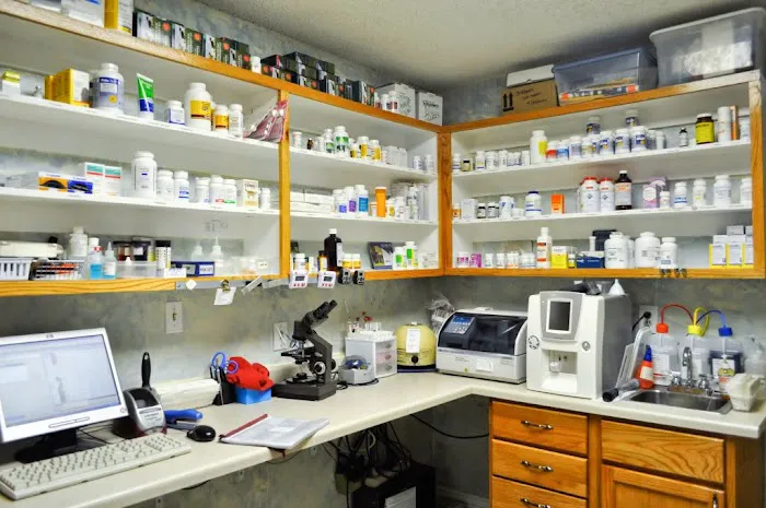 Layton Veterinary Hospital, A Thrive Pet Healthcare Partner 2