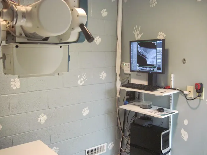Layton Veterinary Hospital, A Thrive Pet Healthcare Partner 8