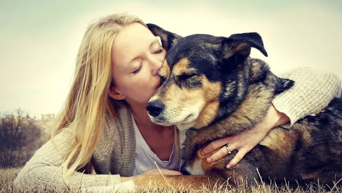 Animal Care Veterinary Hospitals - Clearfield 8
