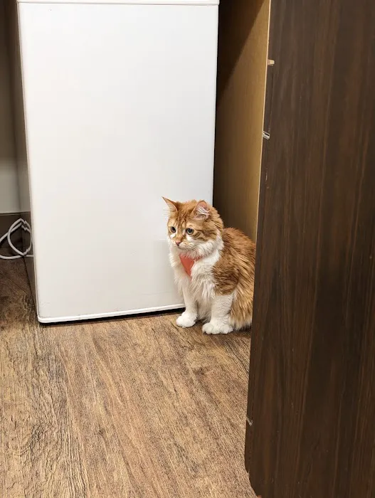 Hill AFB Vet Clinic 1