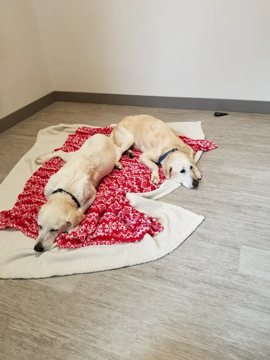 Antelope Animal Hospital 4