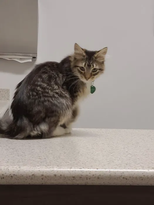 Antelope Animal Hospital 6