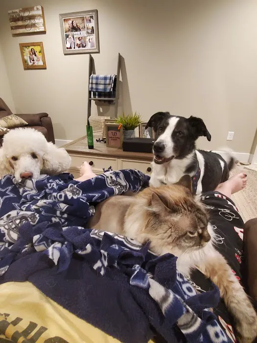 Antelope Animal Hospital 8