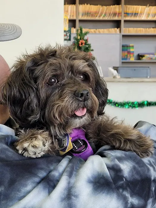 Horizon Ridge Animal Hospital 10