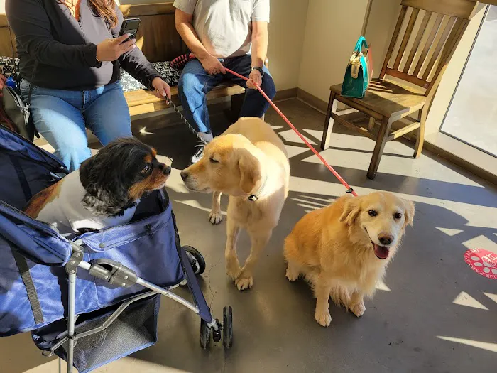 Horizon Ridge Animal Hospital 5