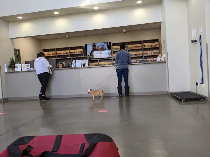 Horizon Ridge Animal Hospital 4