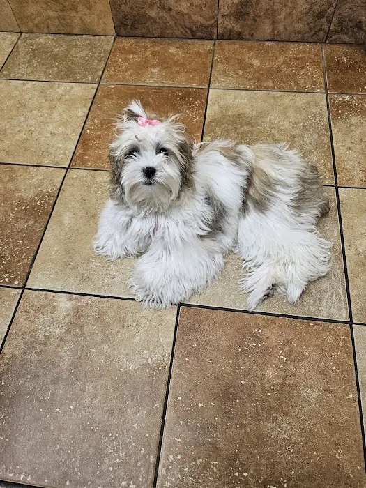Banfield Pet Hospital 12