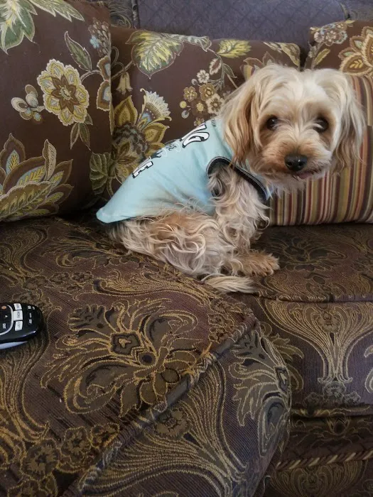 Banfield Pet Hospital 12