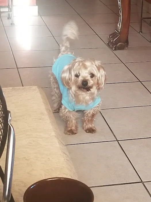 Banfield Pet Hospital 12
