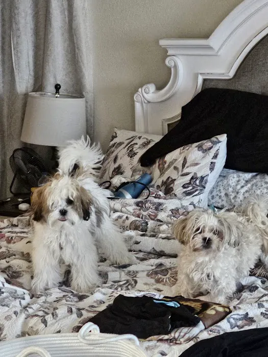 Banfield Pet Hospital 12