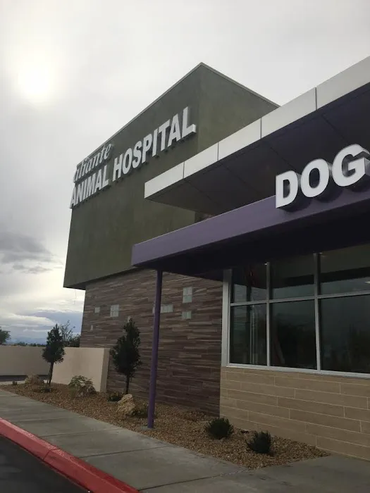 Aliante Animal Hospital 12