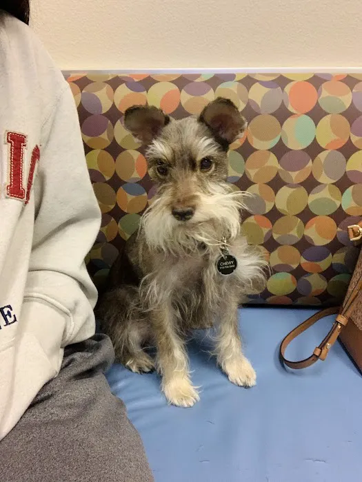 Aliante Animal Hospital 12