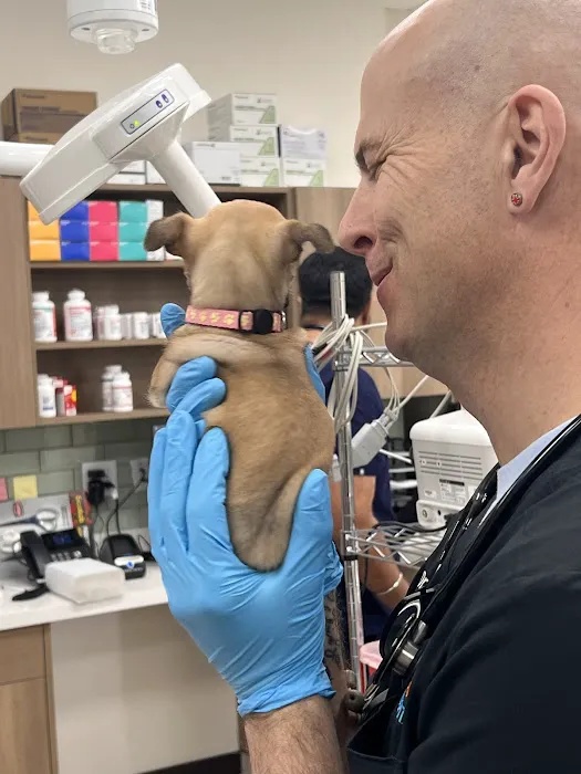 Grand Teton Animal Hospital 12