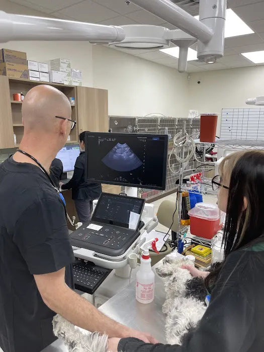 Grand Teton Animal Hospital 12