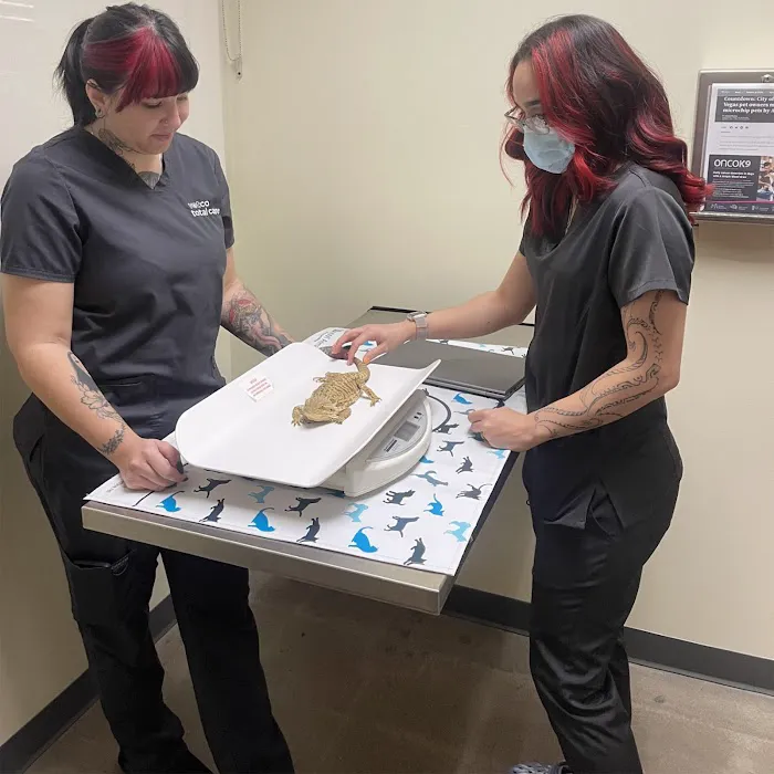 Vetco Total Care Animal Hospital 9