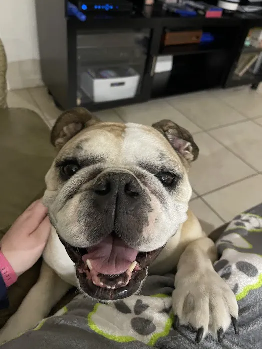 Vetco Total Care Animal Hospital 2