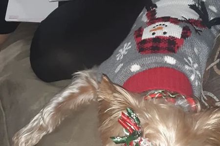 Grand Montecito Animal Hospital