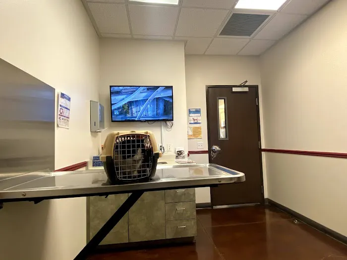Grand Montecito Animal Hospital 12