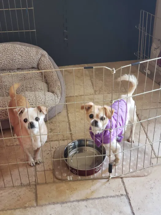 Grand Montecito Animal Hospital 12