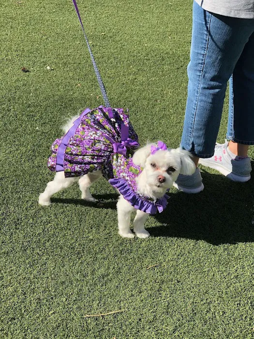 Grand Montecito Animal Hospital 12