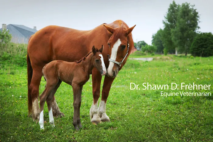Dr. Shawn D. Frehner 1