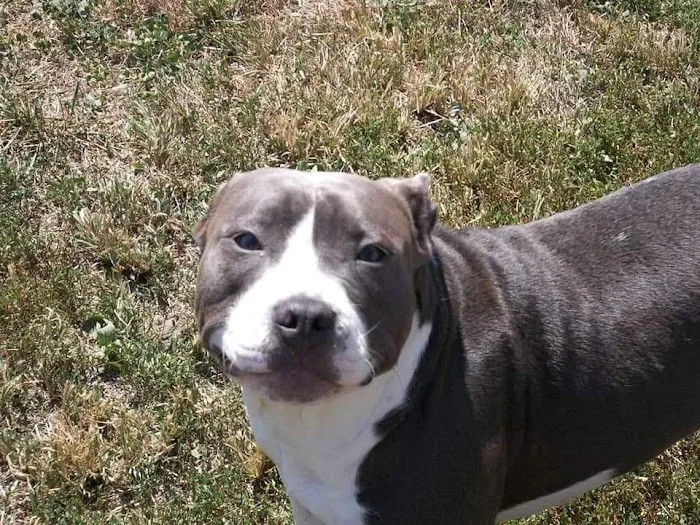 Banfield Pet Hospital 12