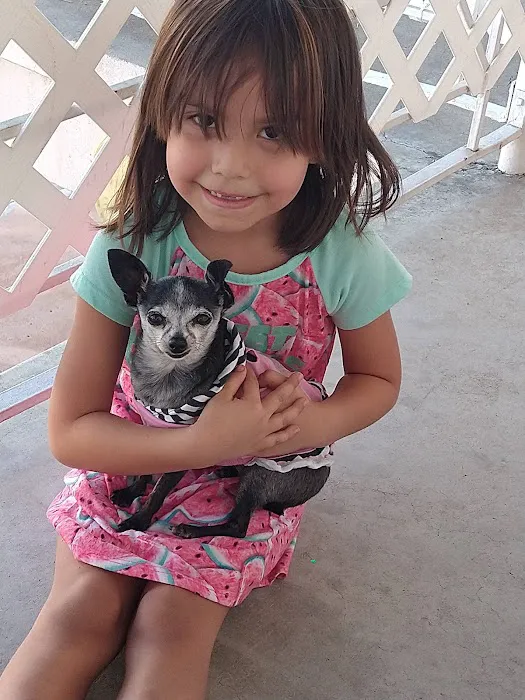 Banfield Pet Hospital 12