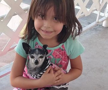 Banfield Pet Hospital