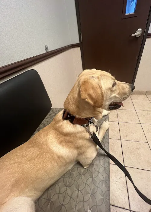 Centennial Hills Animal Hospital 5