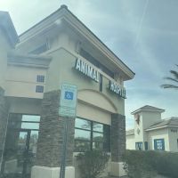 Centennial Hills Animal Hospital ico