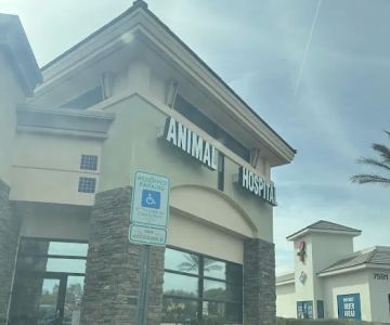 Centennial Hills Animal Hospital