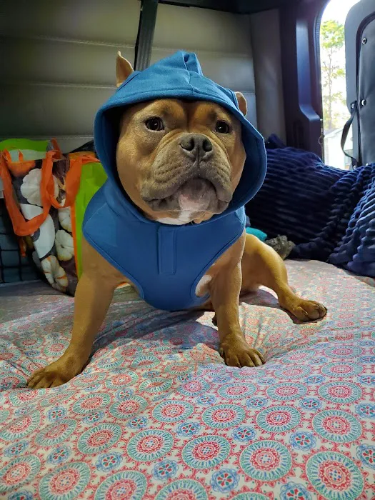 Animal Hospital of Oceanway 12