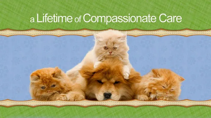 Animal Hospital of Oceanway 12