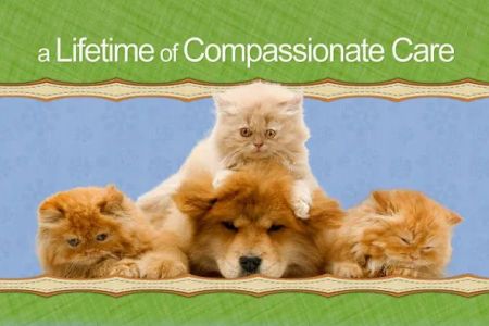 Animal Hospital of Oceanway