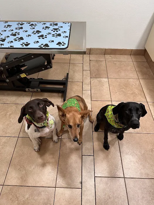 Animal Hospital of Oceanway 12