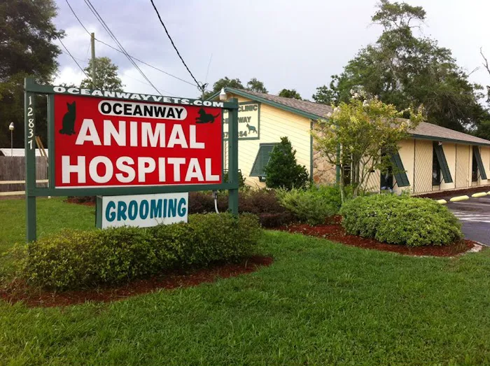 Animal Hospital of Oceanway 12