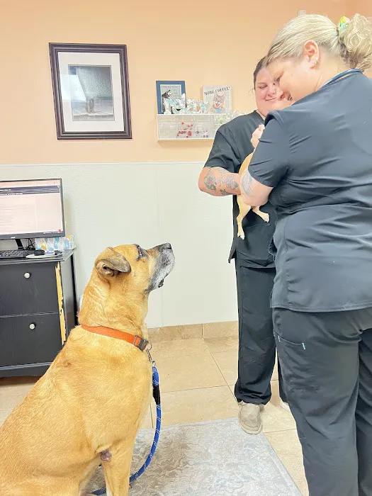 Animal Hospital of Oceanway 12
