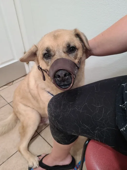 Animal Hospital of Oceanway 12