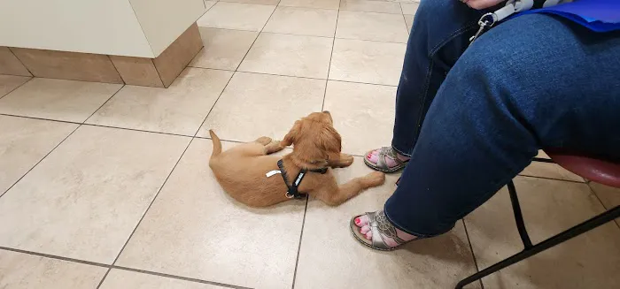 Animal Hospital of Oceanway 12