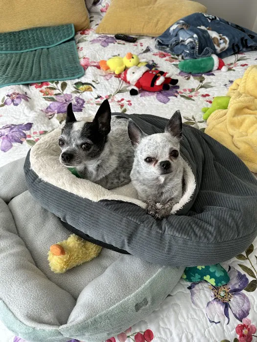 Banfield Pet Hospital 12