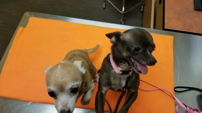 Banfield Pet Hospital 12