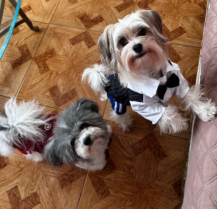 Banfield Pet Hospital 12
