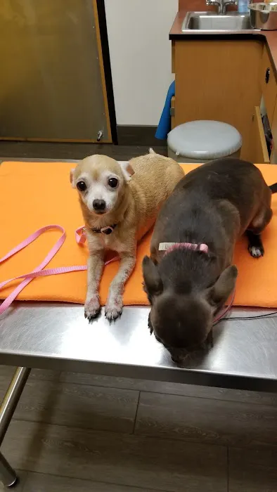 Banfield Pet Hospital 12