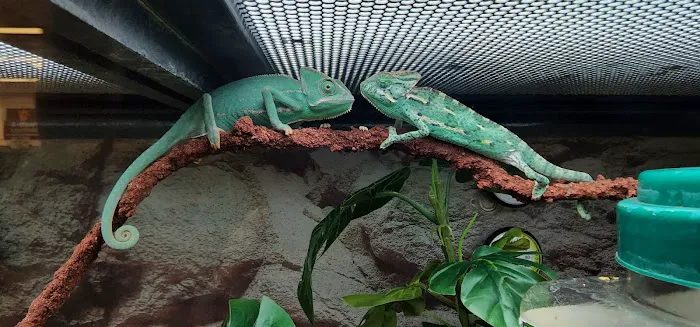 Petco 9