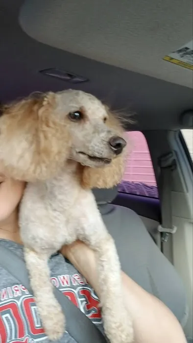Petco 3