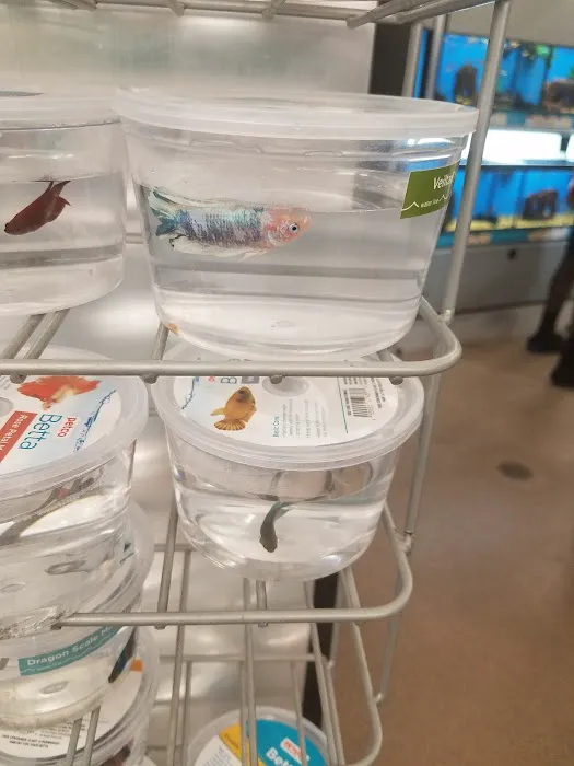 Petco 7
