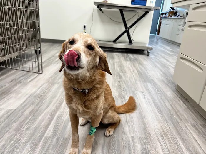 Rivers Edge Veterinary Clinic 4