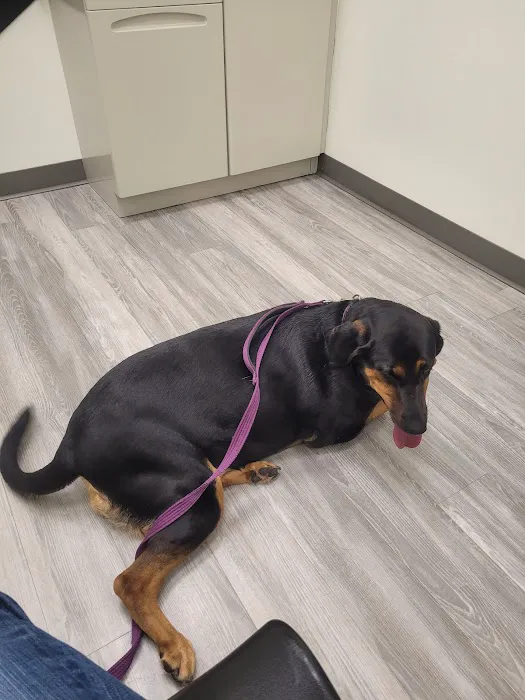 Rivers Edge Veterinary Clinic 1