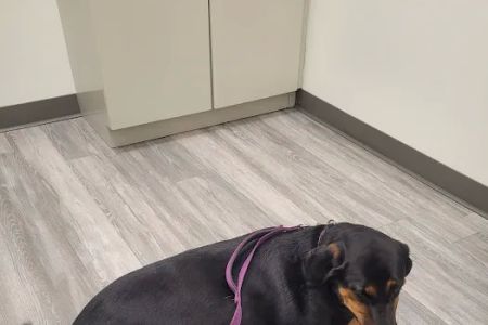 Rivers Edge Veterinary Clinic